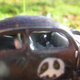 Illustration for article titled Volks-Rotten: Custom Split window Bug